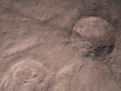 Rays from North Ray crater