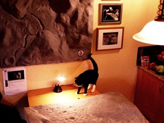 Should I go to the Apennines or to the Descartes? Holly the astronaut cat inspects the weird stuff going on!
