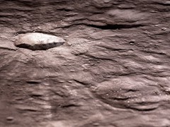 South Ray in the model