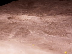 South Ray in the model, version 2