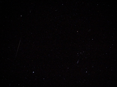 GEMINIDE mellom Procyon og Sirius, tatt fra Puerto del Carmen, Lanzarote 14.12.2010, 0238 GMT. Canon Powershot S3 IS, f /2.7, 15 sek. , ISO 800. Hilsen Hans Brubak
